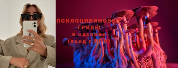 марки lsd Ельня