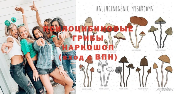 хмурый Елабуга