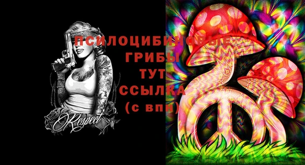 марки lsd Ельня