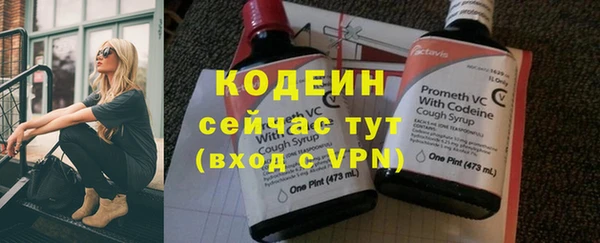 хмурый Елабуга