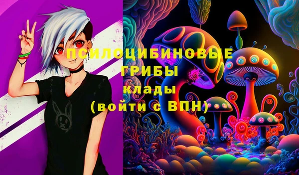 хмурый Елабуга