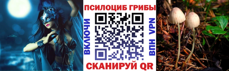 Купить где  Старица  Псилоцибиновые грибы ЛСД 