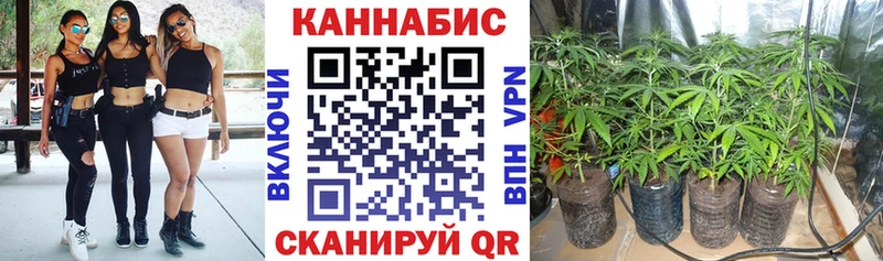 Каннабис AK-47  Купить  Старица 